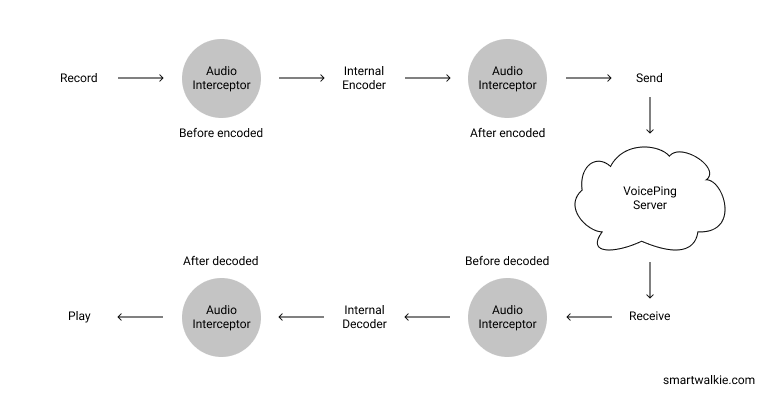 Intercepting audio data
